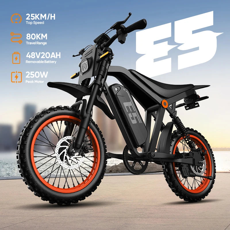URLIFE E5 Electric Motorcycles 250W All-terrain Off-road Tires 48V 20AH Removable Battery Speed 25KMH 80KM Range Electric Off-road Bike For Adults