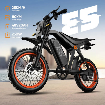 URLIFE E5 Electric Motorcycles 250W All-terrain Off-road Tires 48V 20AH Removable Battery Speed 25KMH 80KM Range Electric Off-road Bike For Adults
